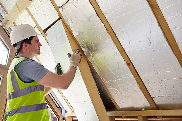 Best Insulation Repair Services  in Celina, OH